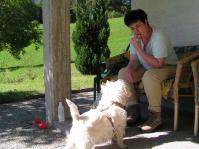 Klik op de foto voor groter formaat